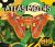 Atlas Moths Atlas Moths