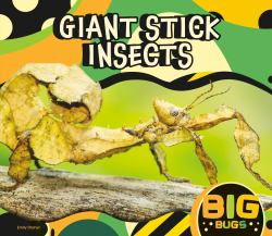 Giant Stick Insects