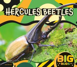 Hercules Beetles