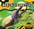 Hercules Beetles Hercules Beetles