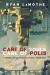 Care of Souls, Care of Polis : Toward a Political Pastoral Theology