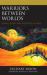 Warriors Between Worlds : Moral Injury and Identities in Crisis