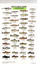 Mac's Field Guides : North America/Freshwater Fish