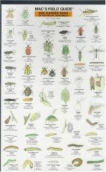 Northwest Garden Bugs