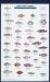 California Coastal Fish California Coastal Fish