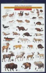 Yellowstone and Grand Teton National Parks : Birds and Mammals