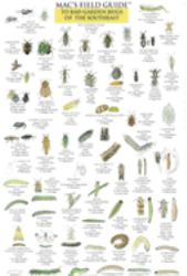 Southeast Garden Bugs