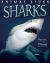 Sharks Sharks