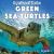 Green Sea Turtles