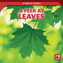 A Peek at Leaves