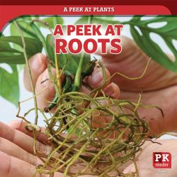 A Peek at Roots