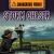 Storm Chaser