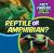 Reptile or Amphibian? Reptile or Amphibian?