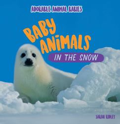 Baby Animals in the Snow