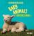 Baby Animals on the Farm