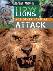How Lions and Other Mammals Attack