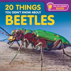20 Things You Didnt Know about Beetles