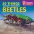 20 Things You Didnt Know about Beetles
