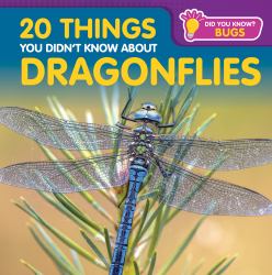 20 Things You Didnt Know about Dragonflies