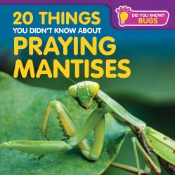 20 Things You Didn't Know about Praying Mantises