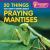 20 Things You Didn't Know about Praying Mantises 20 Things You Didn't Know about Praying Mantises