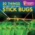 20 Things You Didn't Know about Stick Bugs 20 Things You Didn't Know about Stick Bugs