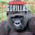 Gorillas Gorillas
