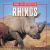 Rhinos Rhinos