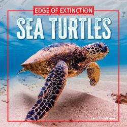 Sea Turtles