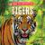Tigers Tigers
