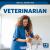 Veterinarian Veterinarian