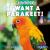 I Want a Parakeet! I Want a Parakeet!