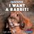 I Want a Rabbit! I Want a Rabbit!
