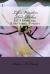 Life's Wonders and Riches : 40 Rhyming, Rhythmic Poems