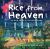 Rice from Heaven : The Secret Mission to Feed North Koreans